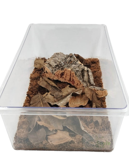 Kit terrario para Cría de Isópodos