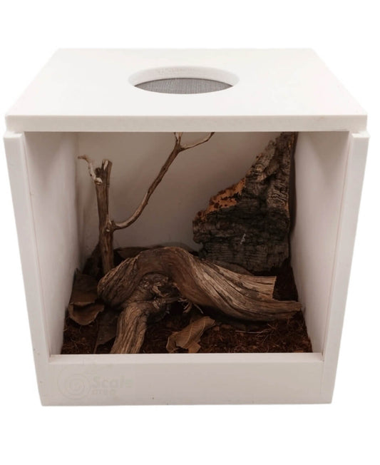 Kit completo profesional para mantis, fásmidos y otros invertebrados