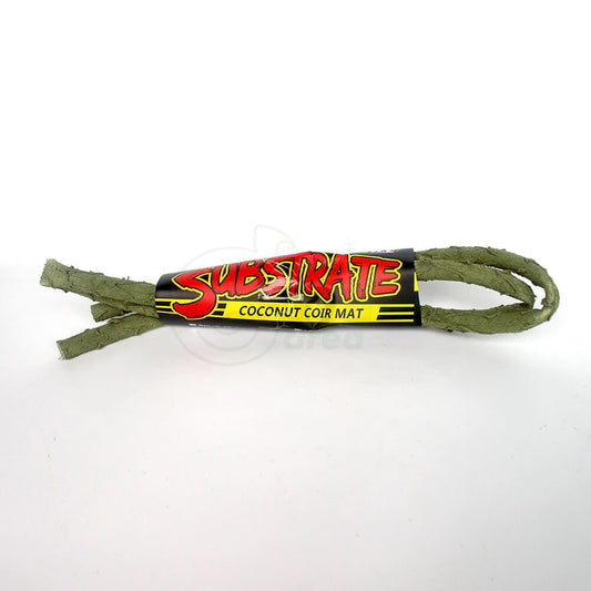 Lianas flexibles para terrarios