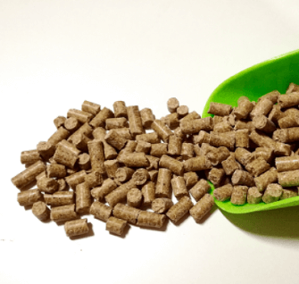 Pienso para insectos (Alimento vivo)