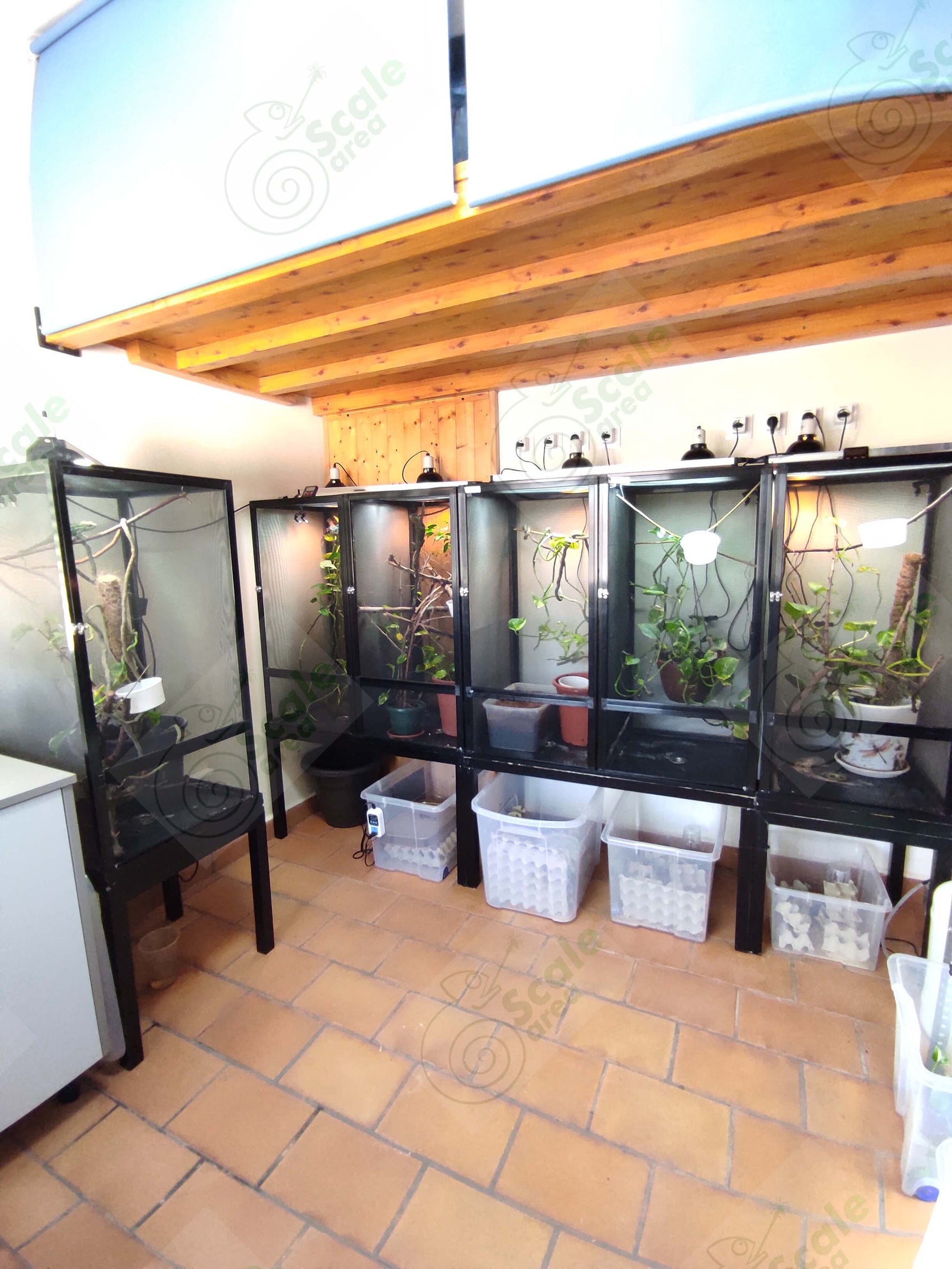 Mesh terrariums for chameleons Scale area