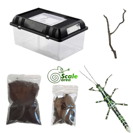 Bark Insect Starter Kit