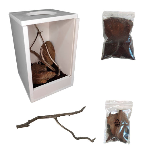 Kit completo para mantis con terrario, sustrato, ramas y hojas