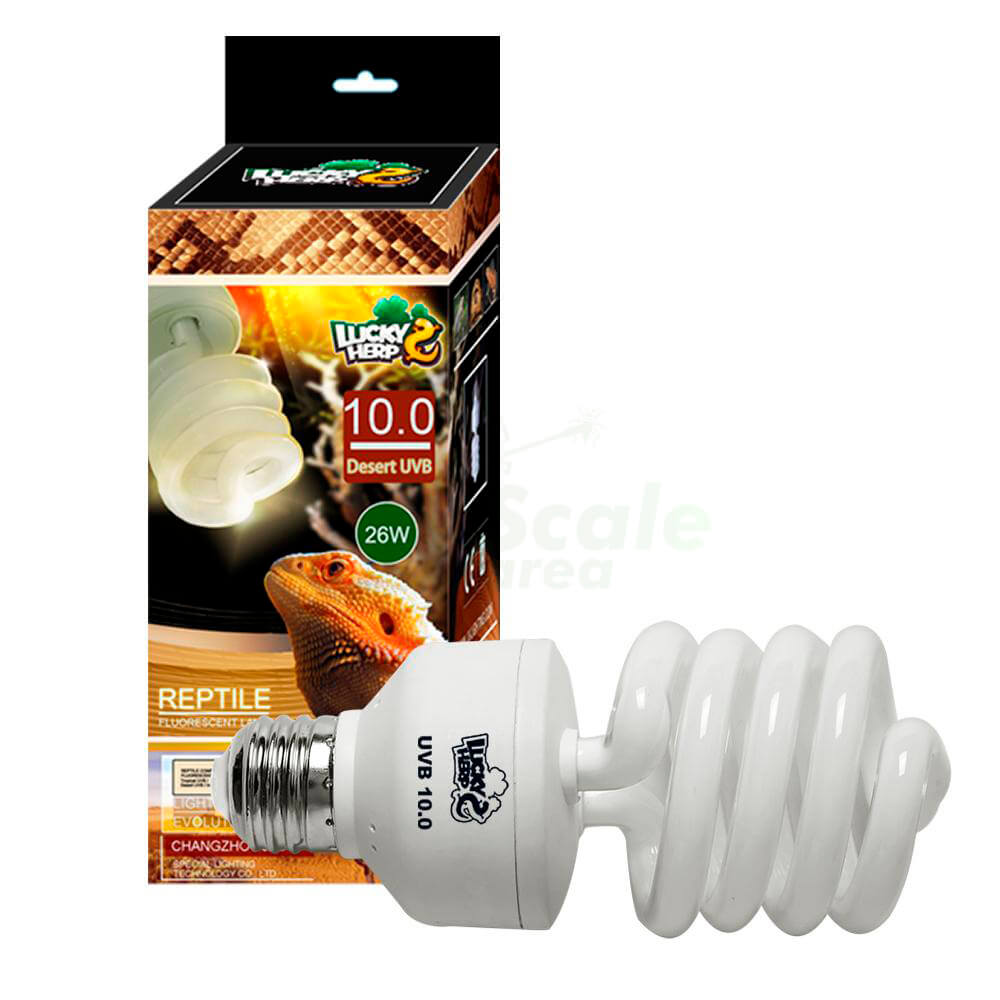 Compact UVB 10.0 bulb